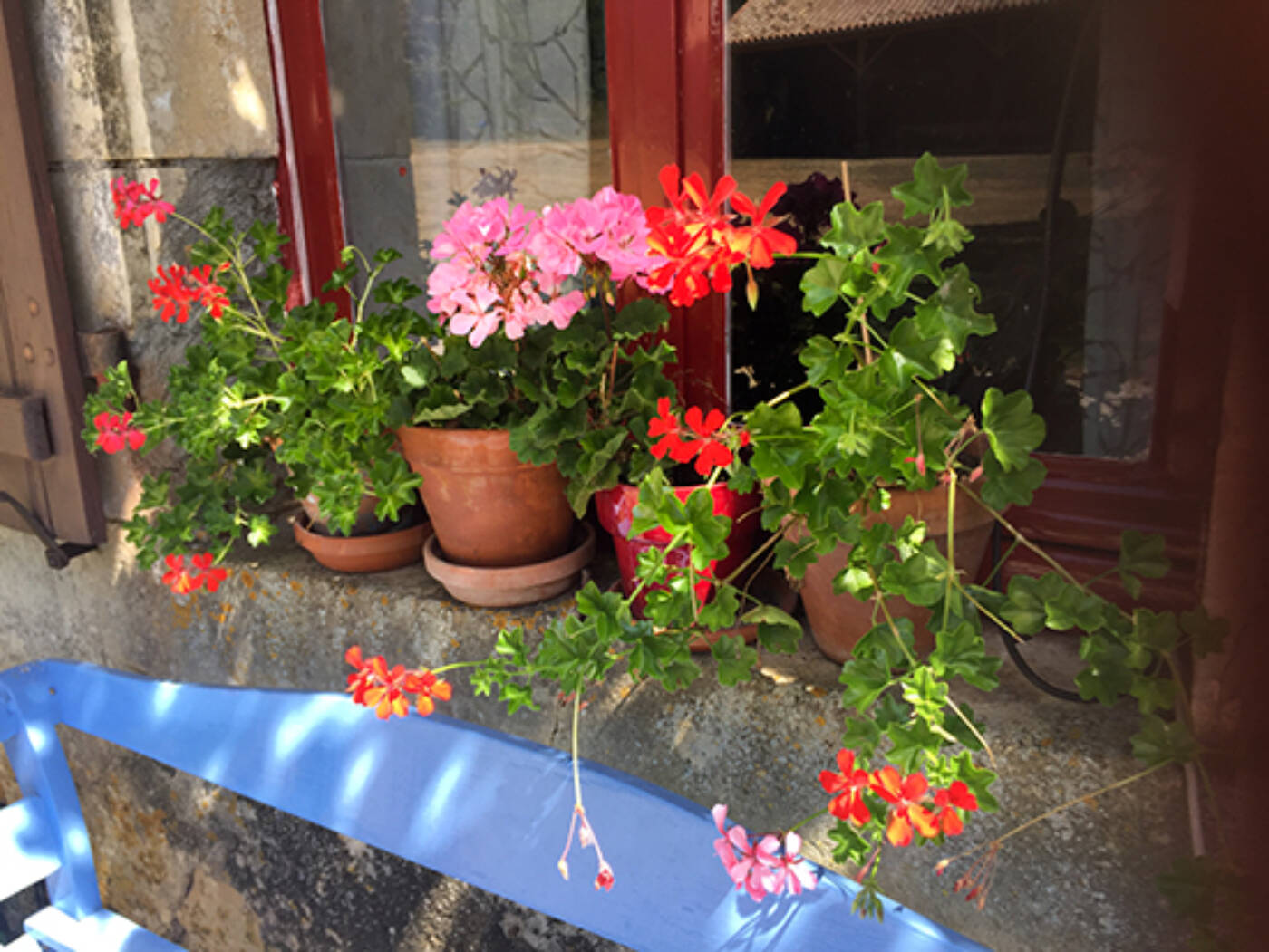 2018 08 11 Bankje Maison 550Px 6455