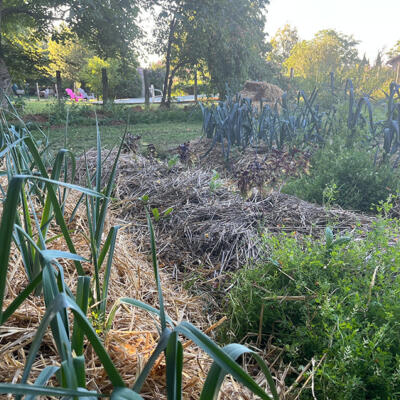 2023 Lgt Moestuin 3 9903 850P