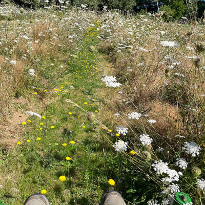 2024 Lgt Moestuin 9229 850Px