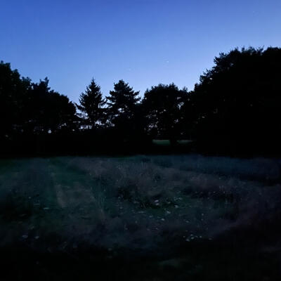 2024 Lgt Moestuin 9585 850Px