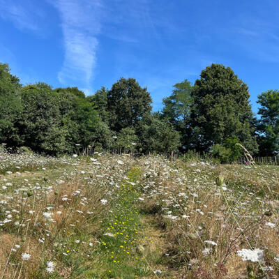 2024 Lgt Moestuin 9228 850Px