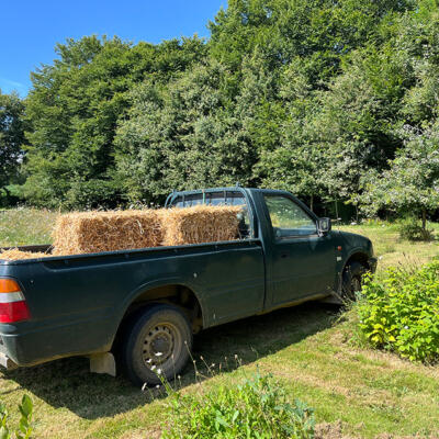 2024 Lgt Moestuin 8930 850Px