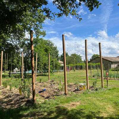 2024 Lgt Moestuin 8656 850Px