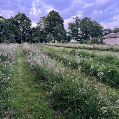 2024 Lgt Moestuin 8405 850Px