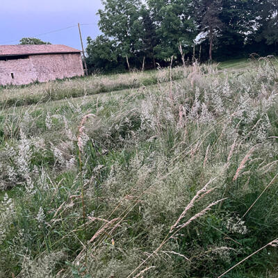 2024 Lgt Moestuin 8399 850Px