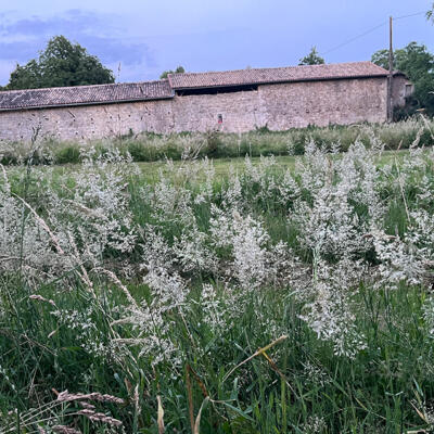 2024 Lgt Moestuin 8402 850Px