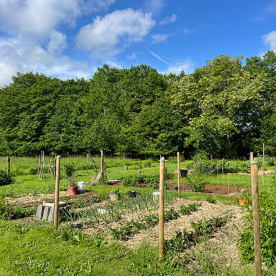 2024 Lgt Moestuin 7767 850Px