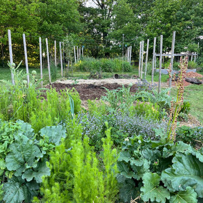 2024 Lgt Moestuin 7612 850Px