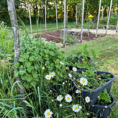 2024 Lgt Moestuin 7614 850Px