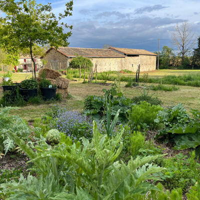 2024 Lgt Moestuin 7422 850Px