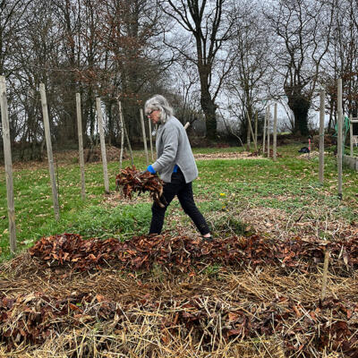 2025 Lgt Moestuin Janvier 3830850Px