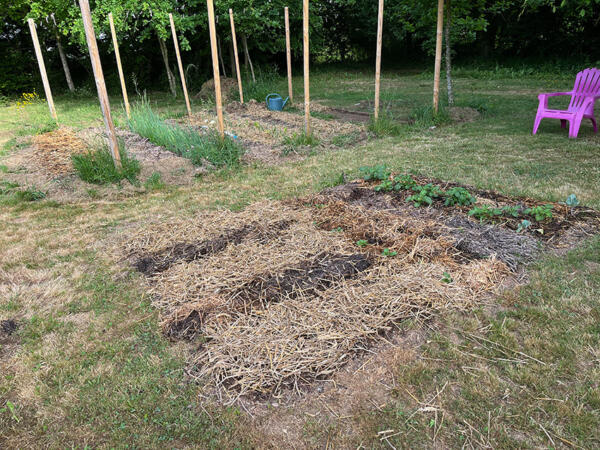 2022 Lgt Moestuin 2 6833 850P