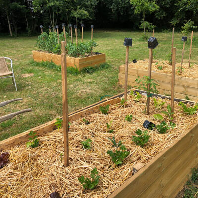 2020 06 05 Lgt Moestuin Bakken 1617 850P