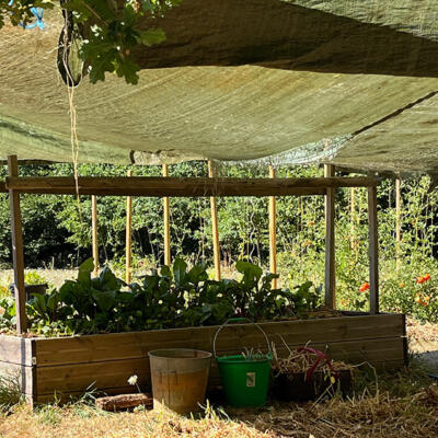 2022 Lgt Moestuin 8759 850P