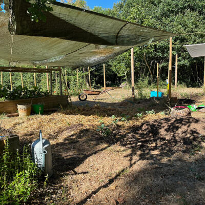 2022 Lgt Moestuin 8731 850P