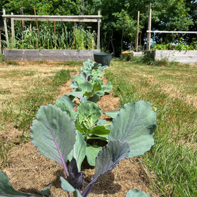 2022 Lgt Moestuin 2 7219 850P