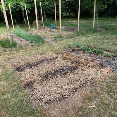 2022 Lgt Moestuin 2 6833 850P