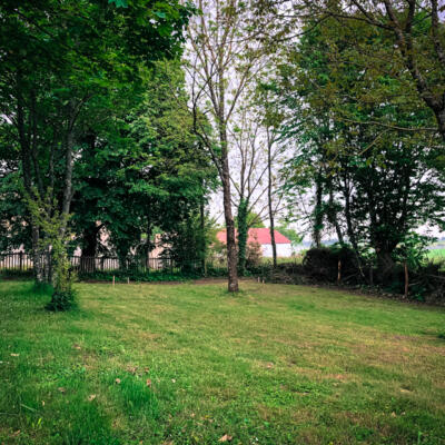 2019 05 20 Th Eerstepalen 4807