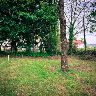 2019 05 20 Th Eerstepalen 4811