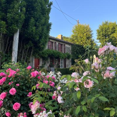 2022 05 20 Lgt Gite Tuin 7174 850Px