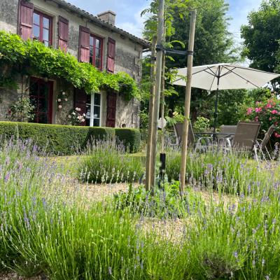 2022 05 24 Lgt Gite Tuin 7266 850Px