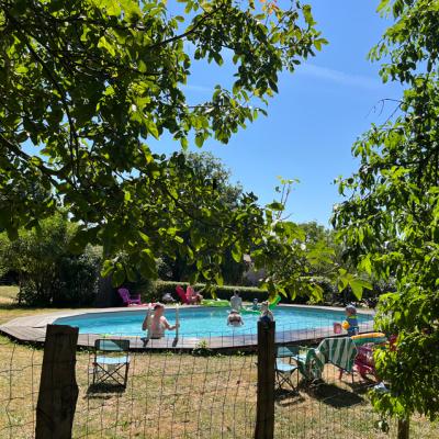 2024 08 11 Lgt Piscine 9249 850Px