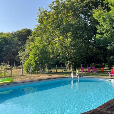 2024 08 26 Lgt Piscine 9573 850Px