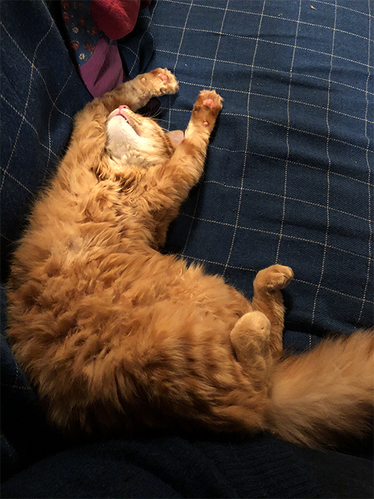 Lui op de bank (2022)