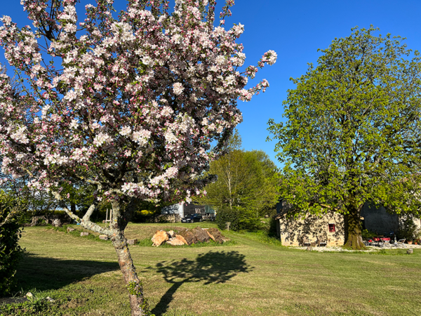 Oma's boompje in 2023 - 7172