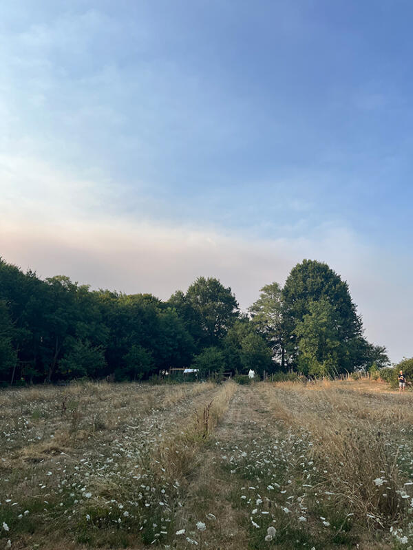 2026 07 24 LGT terrein bosbrandluchten 7648 850px