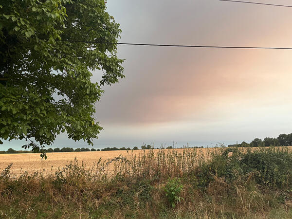 2026 07 24 LGT terrein bosbrandluchten 7662