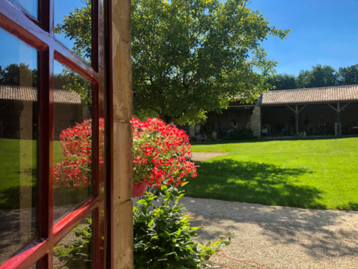 2020 05 17 Lgt Keuken Hangende Geraniums Bij Deur 550Px 1170