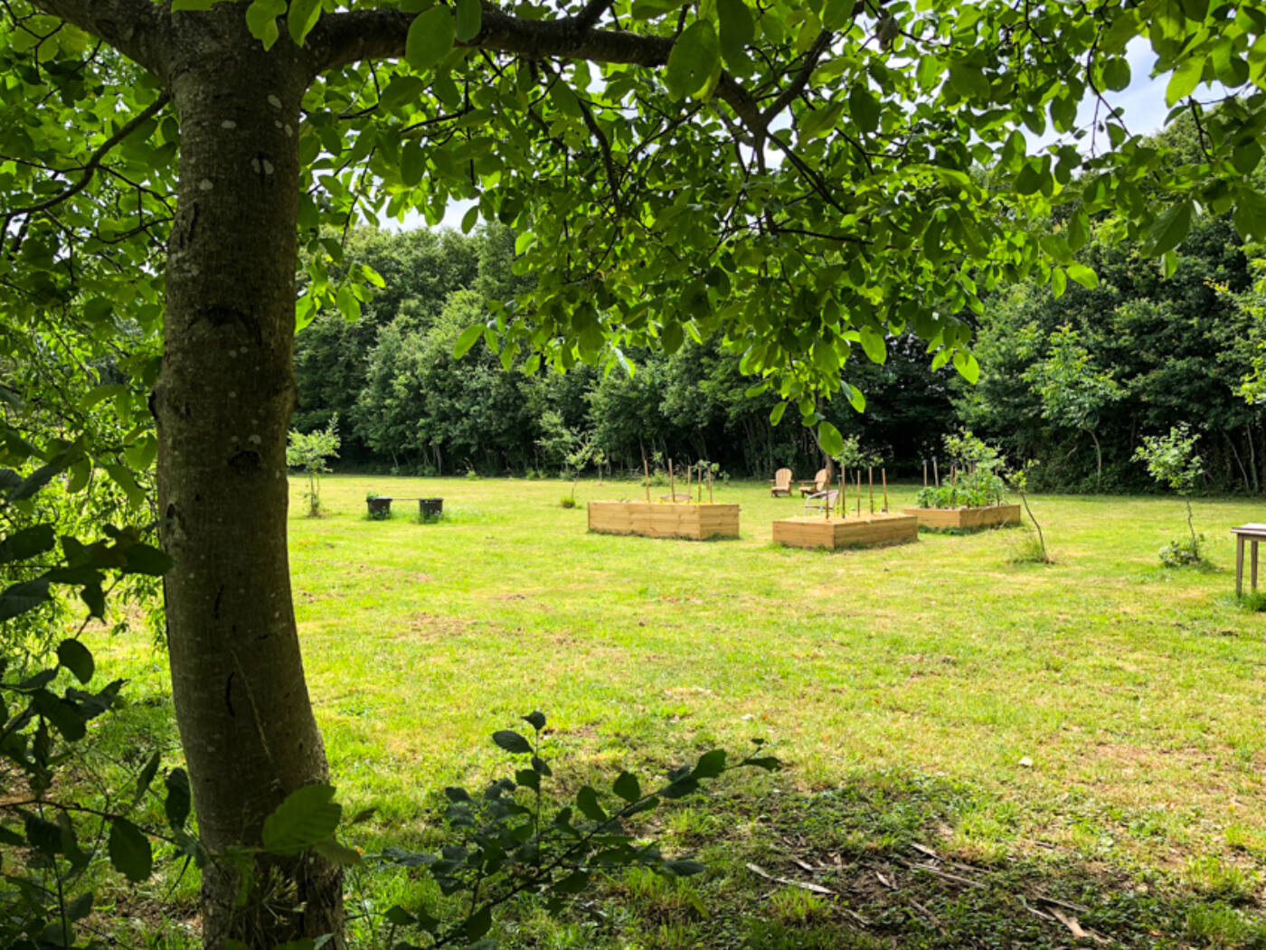 2020 06 06 Moestuin 850Px 1625