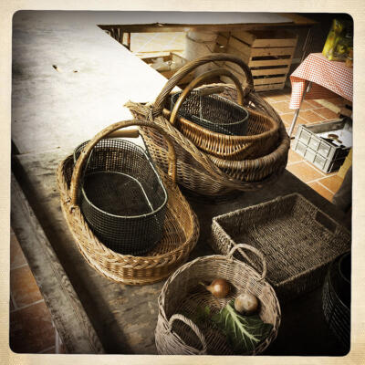 1503 St Maixent Lecole 4043