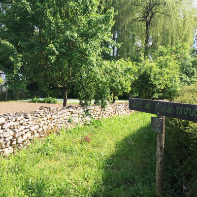 160523 Exoudun 850Px 4342