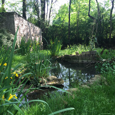 160523 Exoudun 850Px 4348