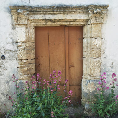 160523 Exoudun 850Px 4395