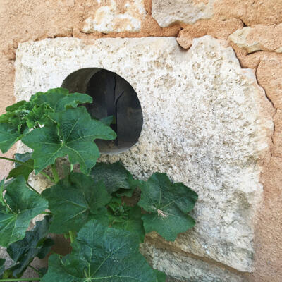 160523 Exoudun 850Px 4454