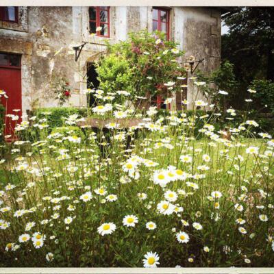 160526 Gite Tuin