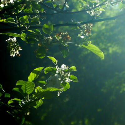 1805 Femke Wartna Camping 1080554