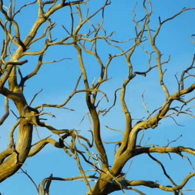 1805 Femke Wartna Wandeling 1080573