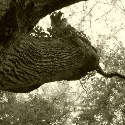 1805 Femke Wartna Wandeling 1080599