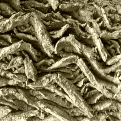 1805 Femke Wartna Wandeling 1080600