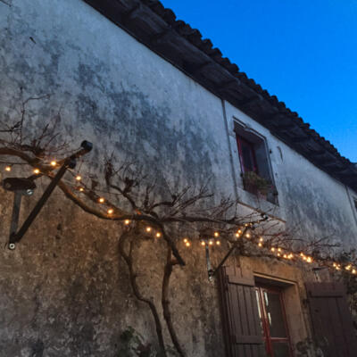 2016 12 Lgt Kerstmis 850Jpg 2265