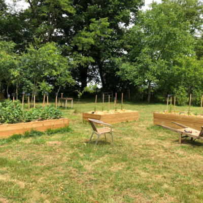 2020 06 06 Moestuin 850Px 1615