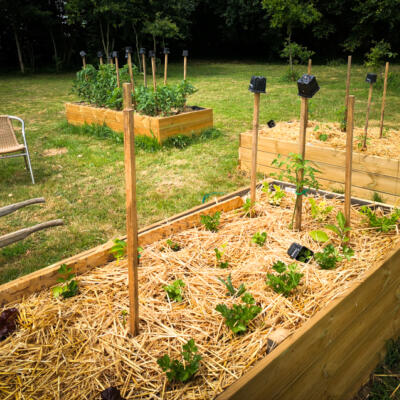 2020 06 06 Moestuin 850Px 1617