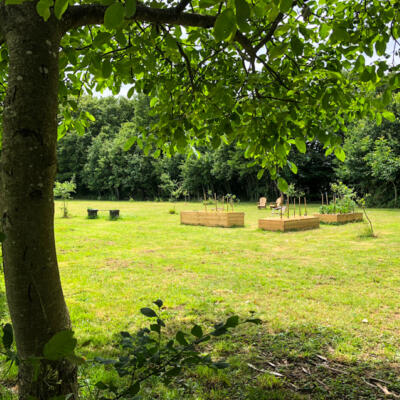 2020 06 06 Moestuin 850Px 1625