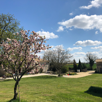 2021 04 12 omas boompje 7831 850px