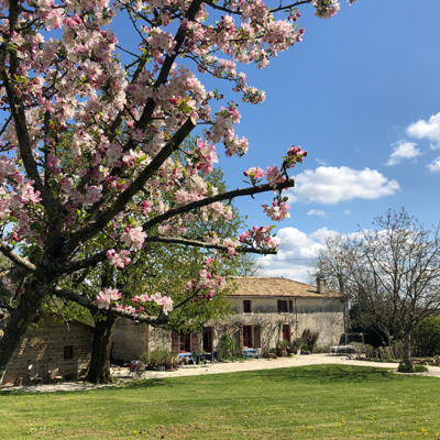 2021 04 12 omas boompje 7834 850px