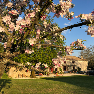 2021 04 19 omas boompje 7953 850px